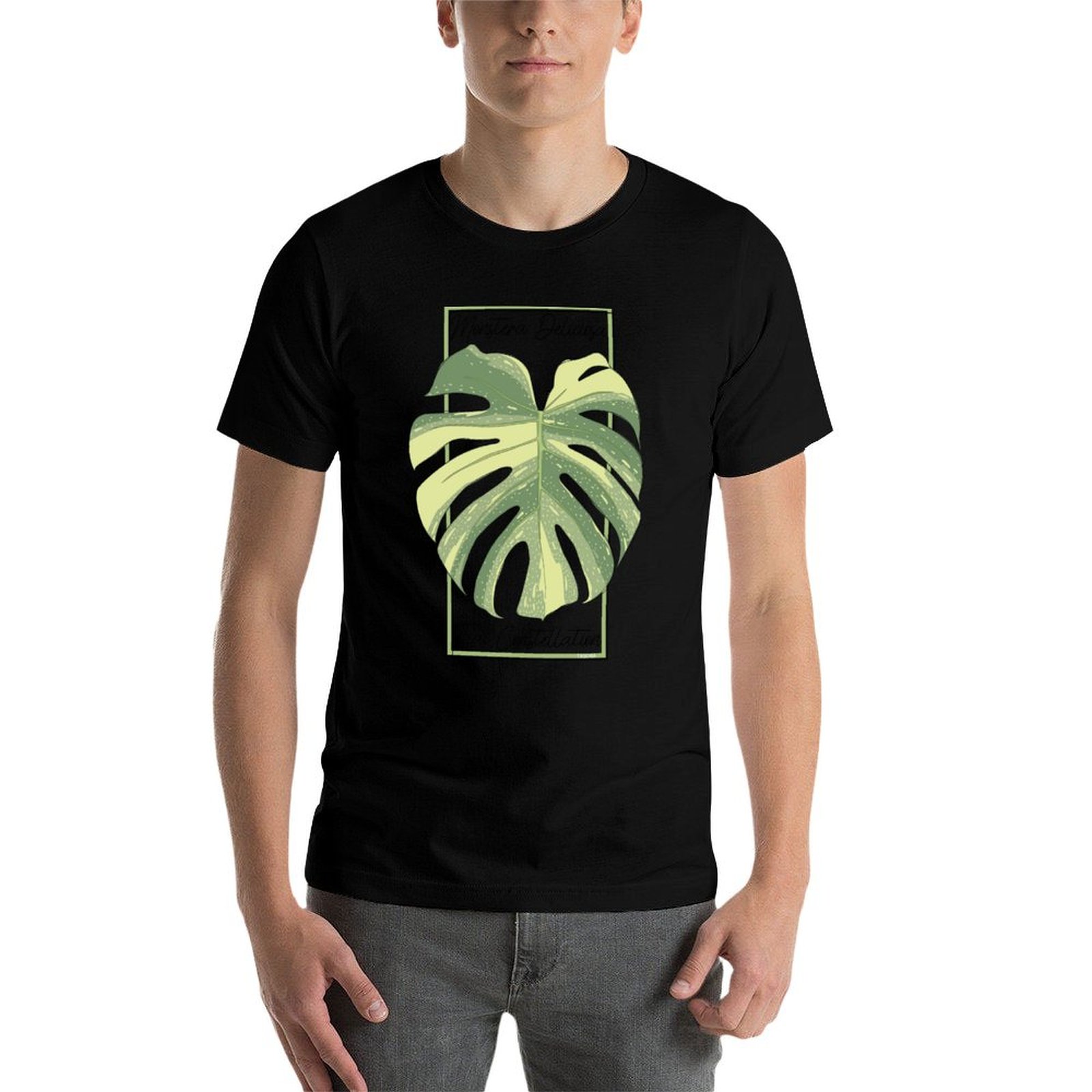Monstera Thai Constellation Bo - огляд і ціна Monstera Thai Constellation