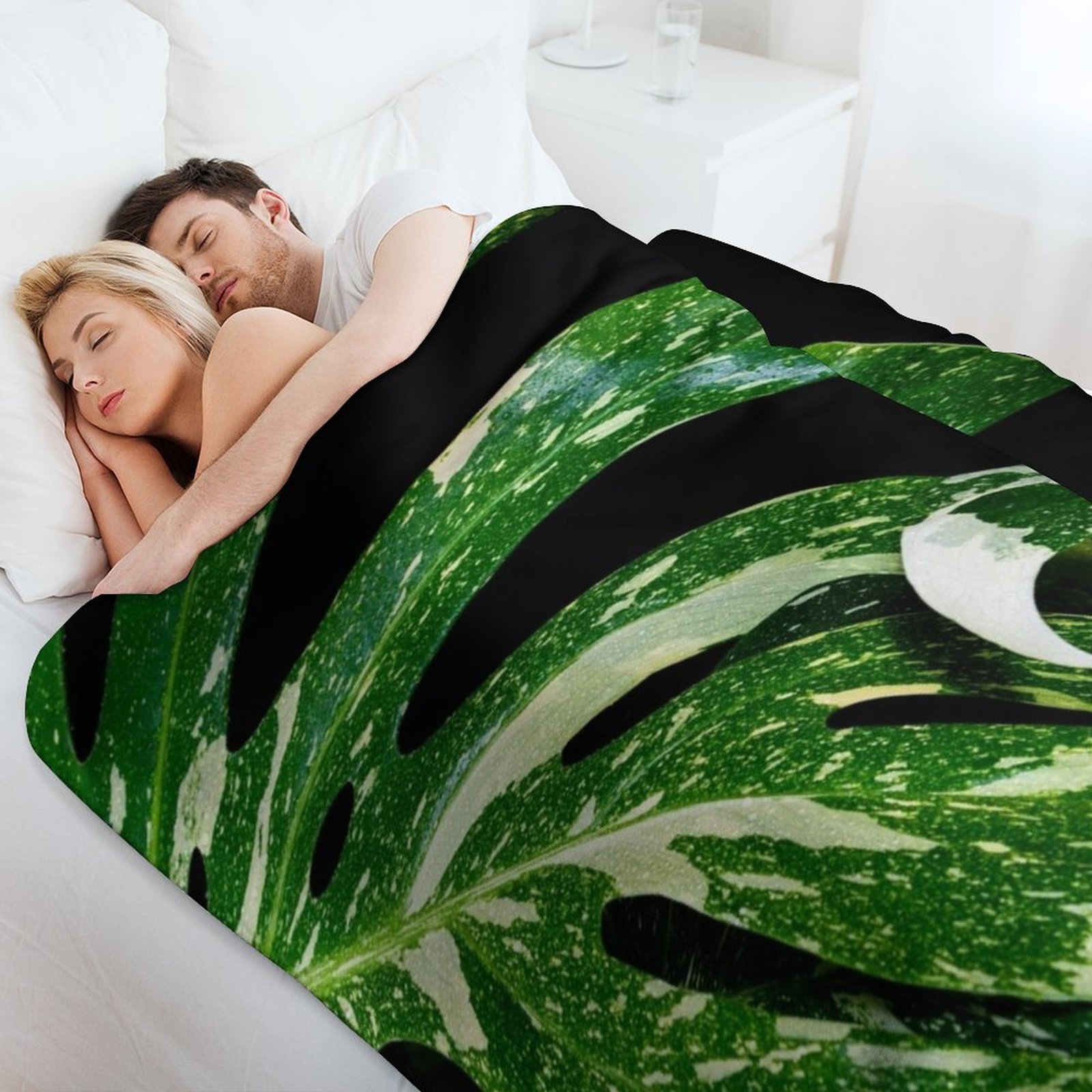 Monstera Thai Constellation Th - огляд і ціна Monstera Thai Constellation