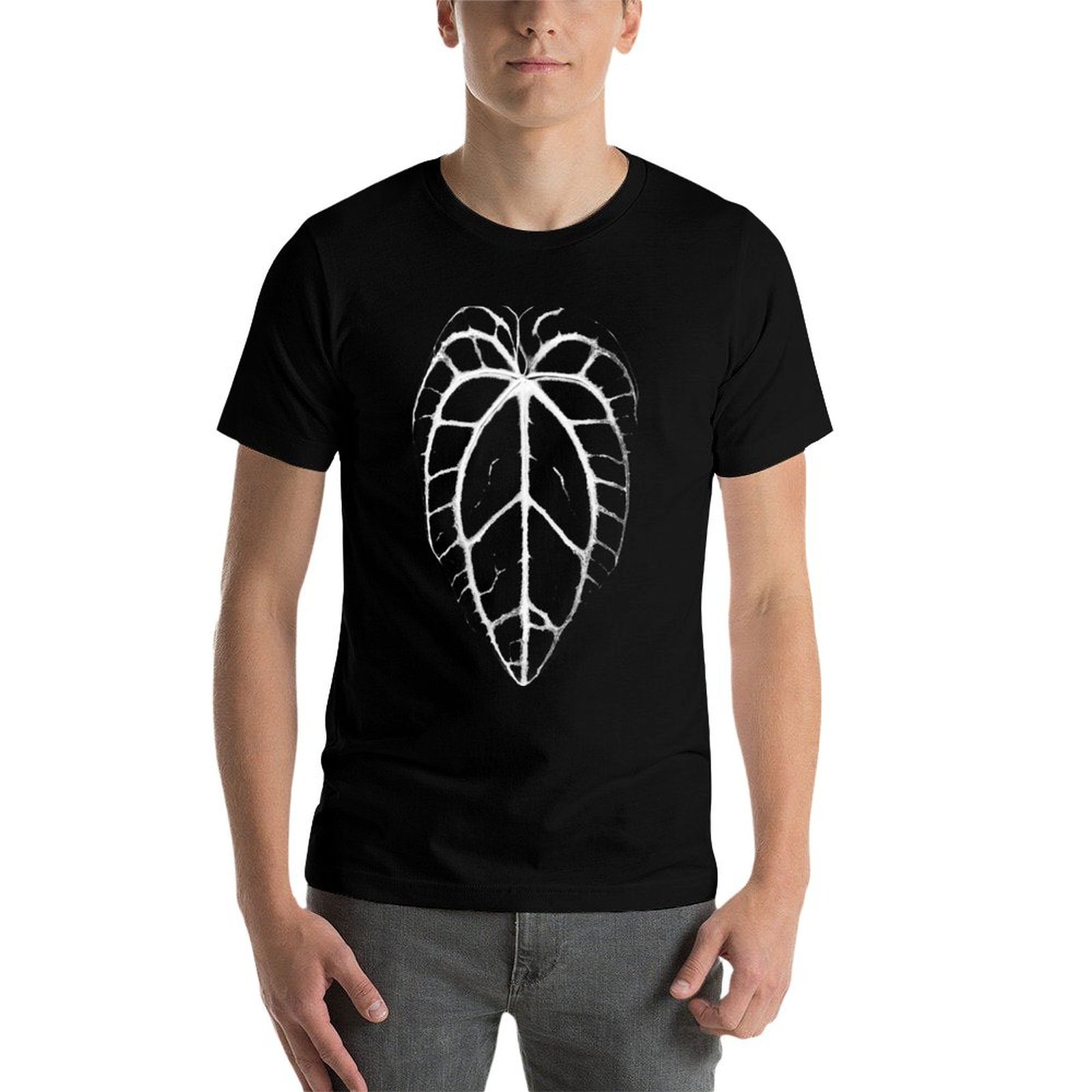 ANTHURIUM CRYSTALLINUM VEINS T - огляд і ціна Anthurium Crystallinum
