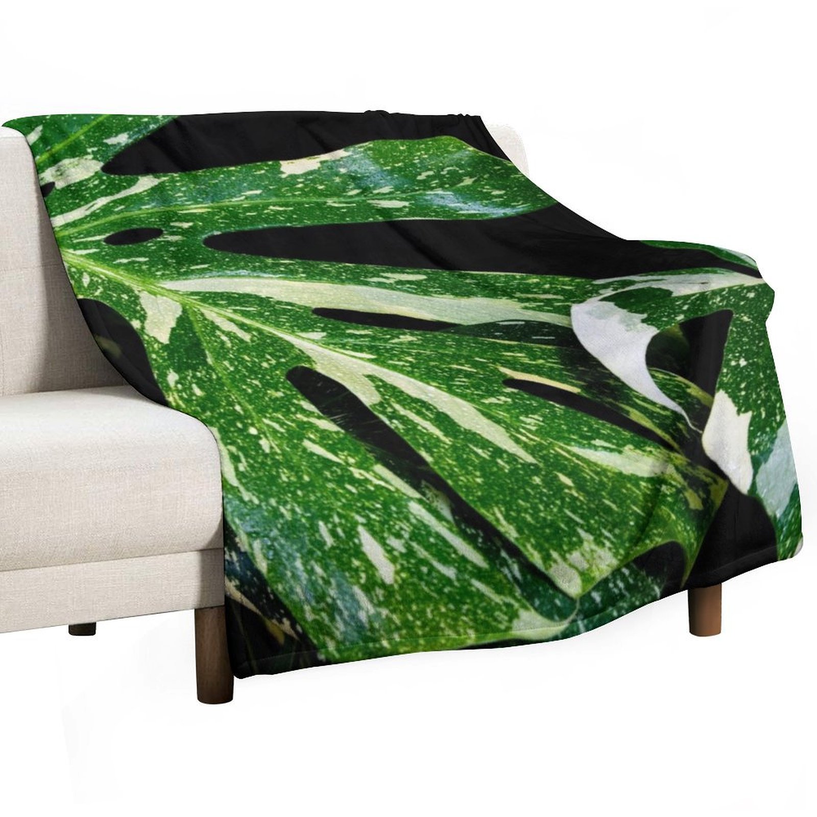 Monstera Thai Constellation Th - огляд і ціна Monstera Thai Constellation