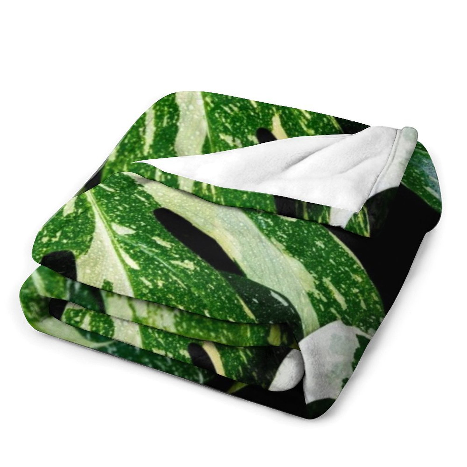 Monstera Thai Constellation Th - огляд і ціна Monstera Thai Constellation