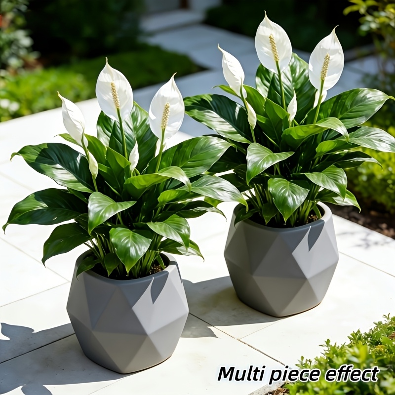 2 Pieces = 6 Flowers, Vase Not - огляд і ціна Peace Lily White