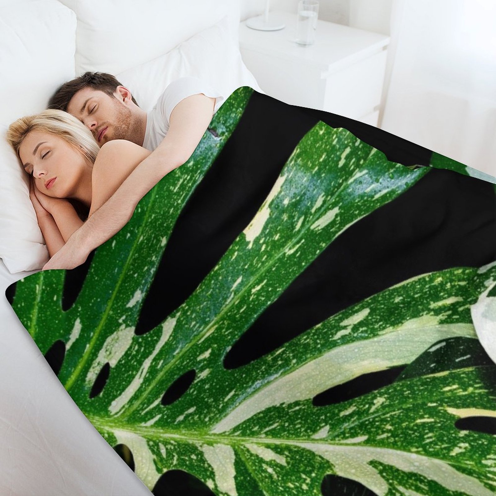 Monstera Thai Constellation Th - огляд і ціна Monstera Thai Constellation
