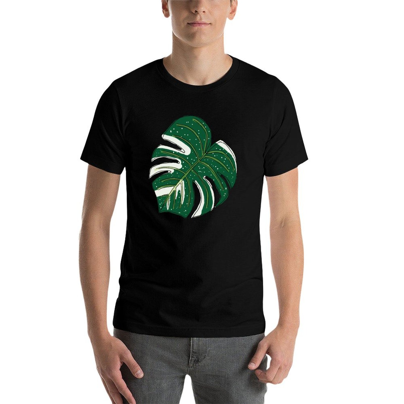 Monstera Thai Constellation T- - огляд і ціна Monstera Thai Constellation